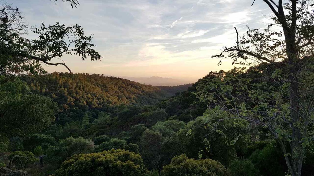 La morsure d'un cœur brisé