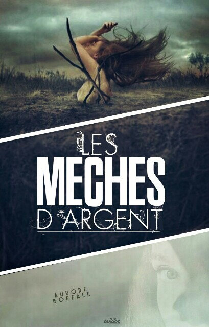 Les Mèches d'argents.