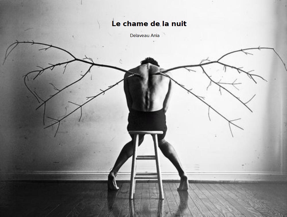 Le charme de la Nuit