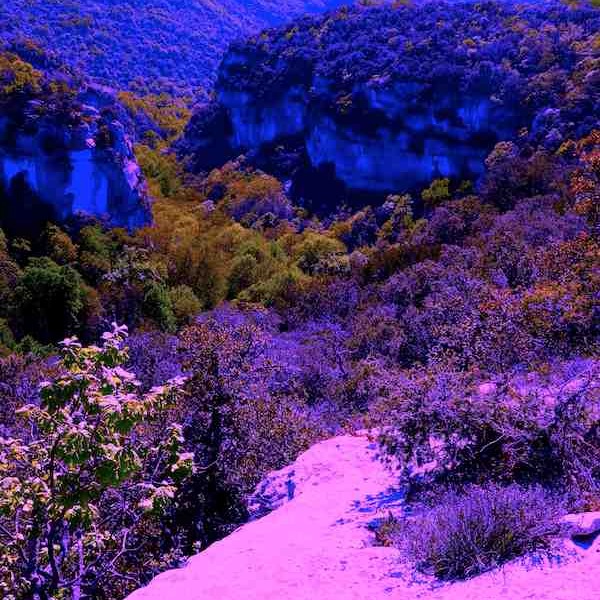 Luberon rouge, Sang !