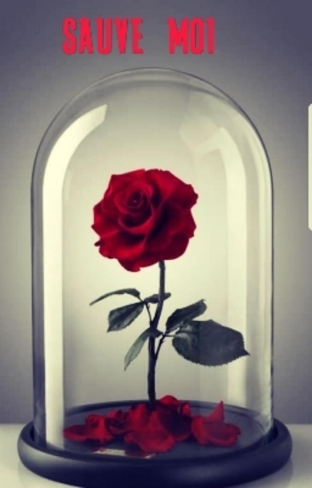 Sauve-Moi