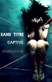 Sans titre : Captive