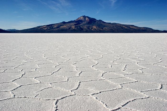 Alice, la chasse au Snark.