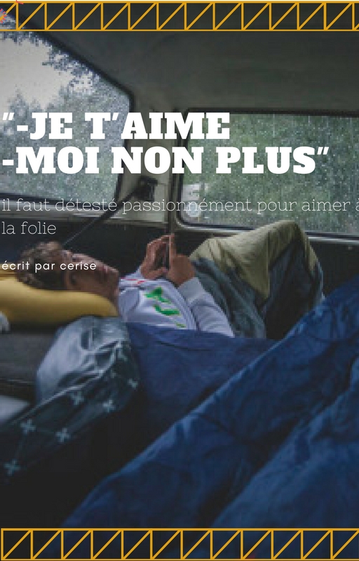 JE t'aime moi non plus