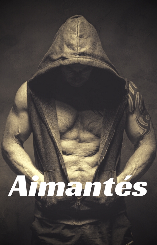 Aimantés