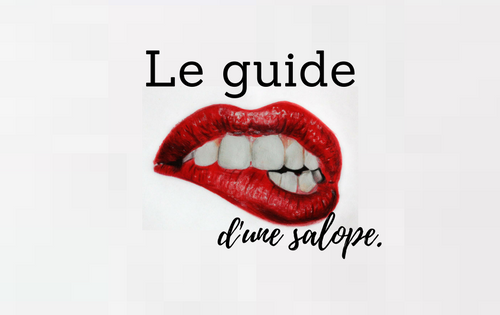 Le guide d'une salope.