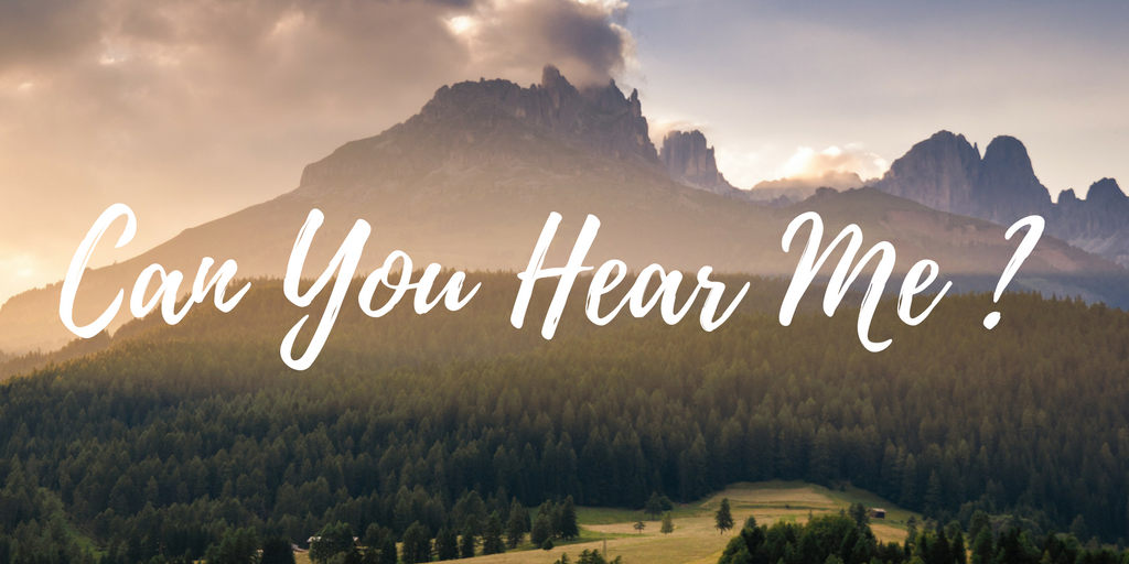 Can You Hear Me ? [VF]