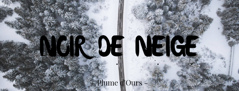 Noir de neige
