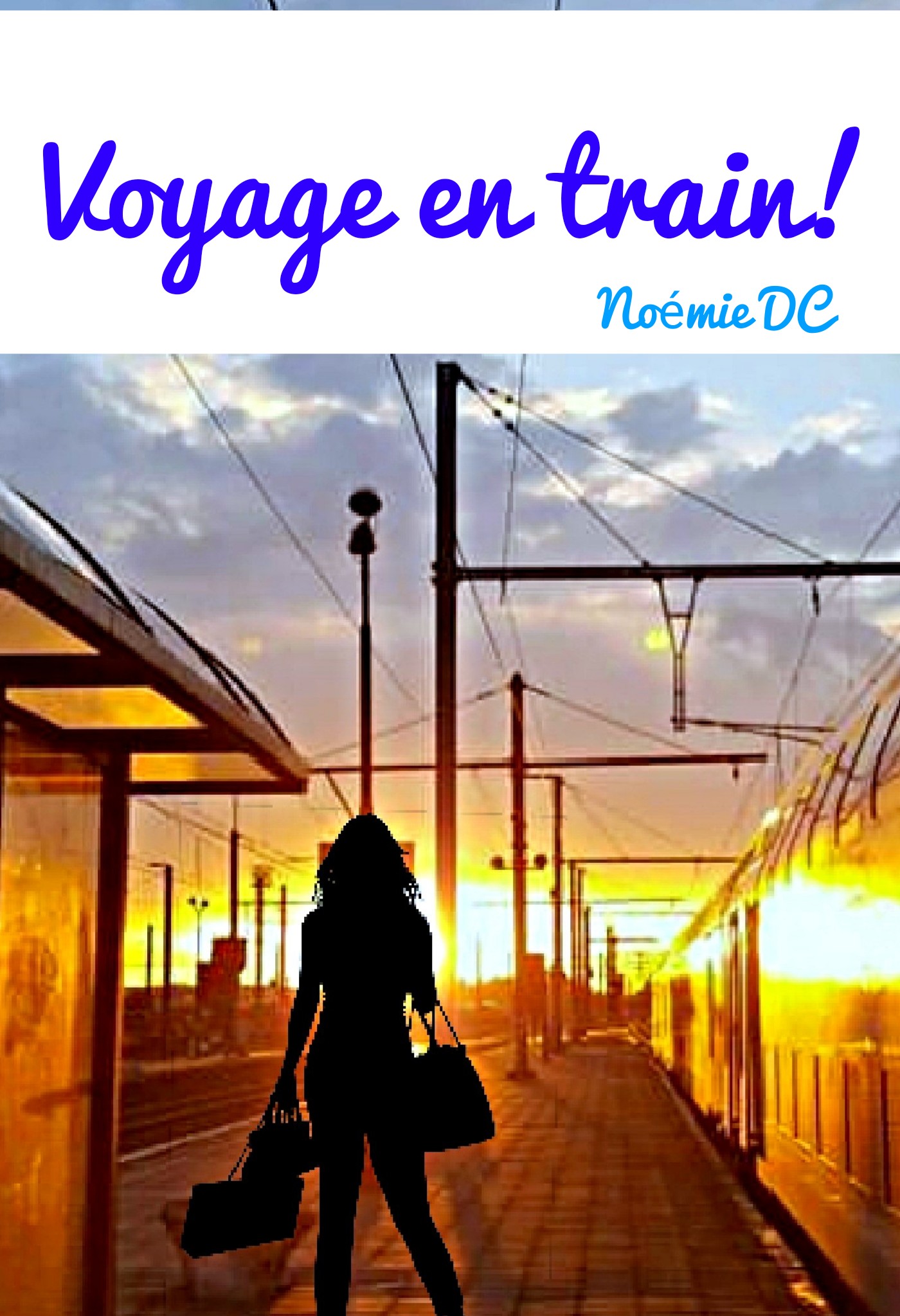 Voyage en train!