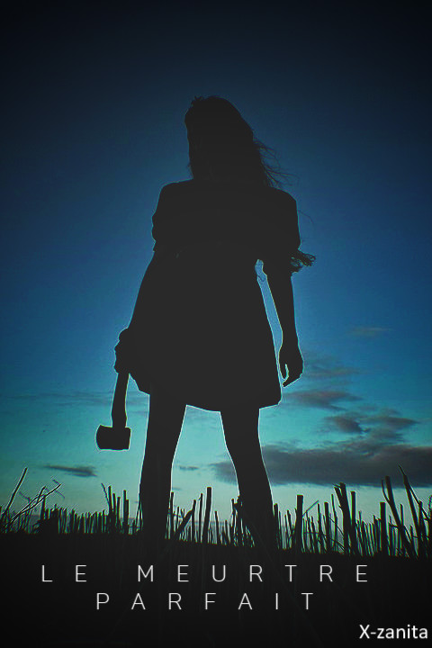 Le meurtre parfait