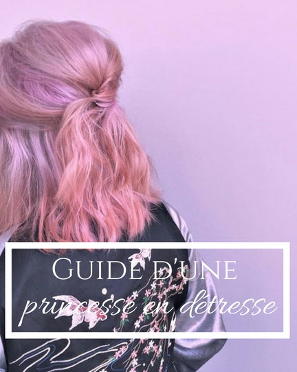 Guide d'une princesse en détresse