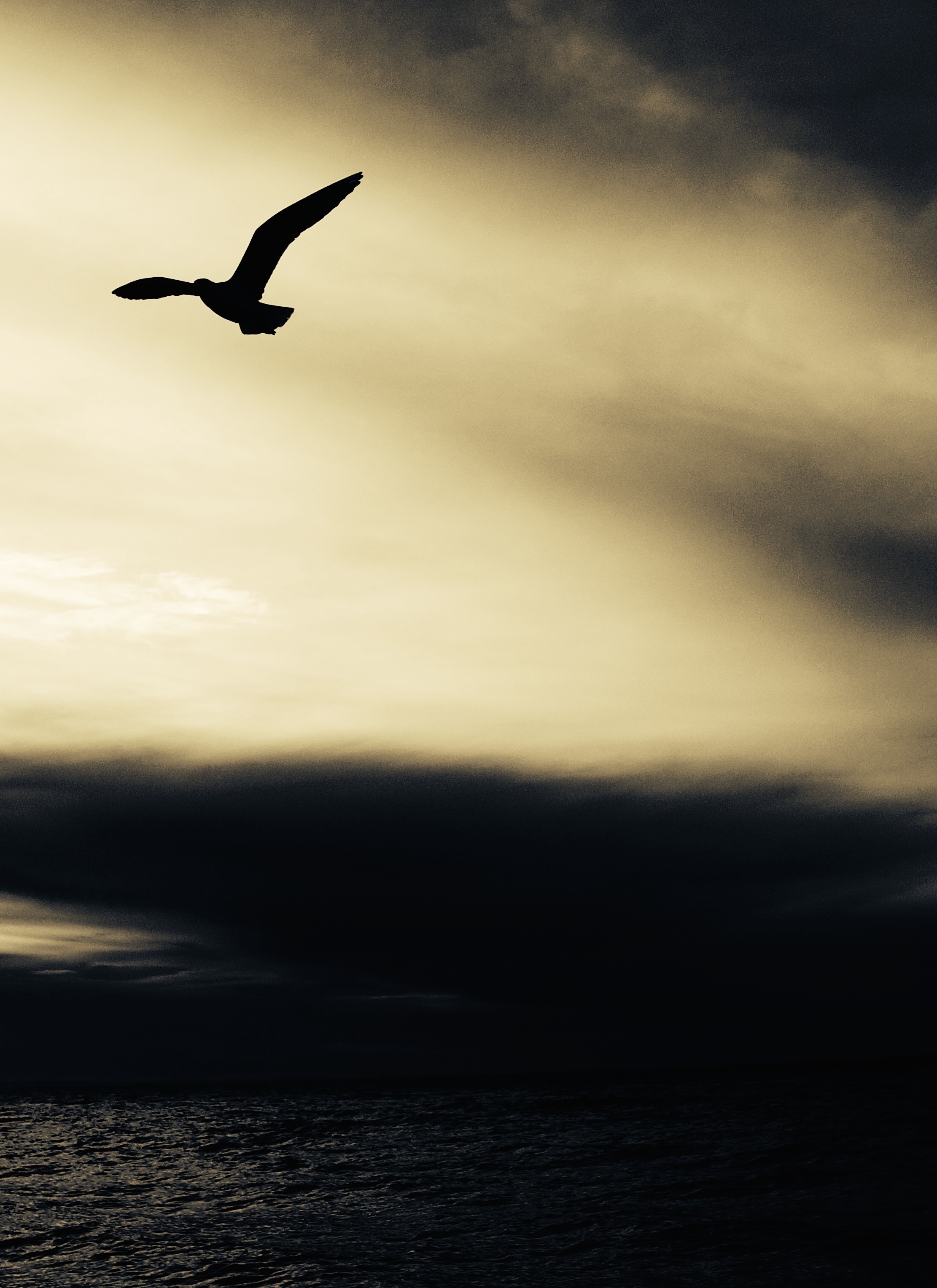 Quand la tempête se lève