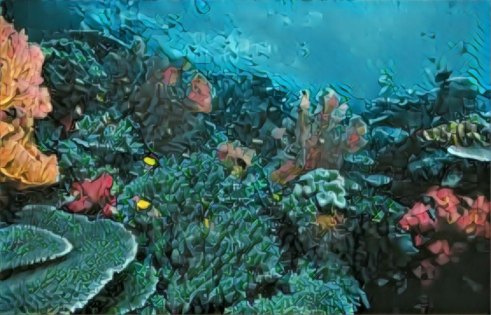 Under the sea