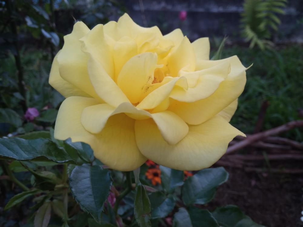 Différent à ses yeux