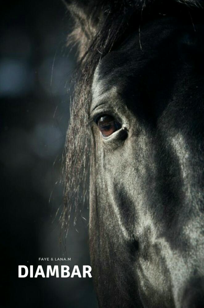 DIAMBAR
