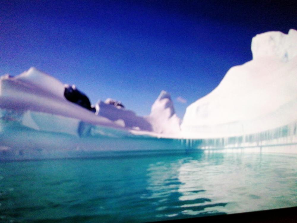 ELLI ET LA TRIBU DE FEU