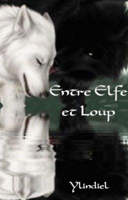 Entre Elfe et Loup
