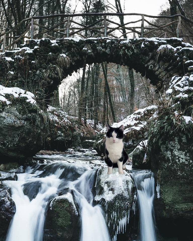 Les Mondes Invisible