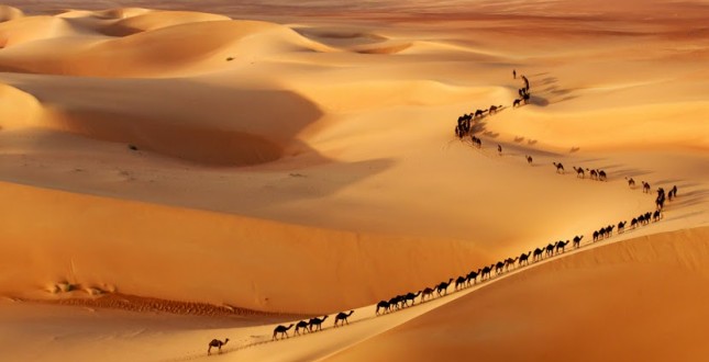 Où les caravanes rêvent