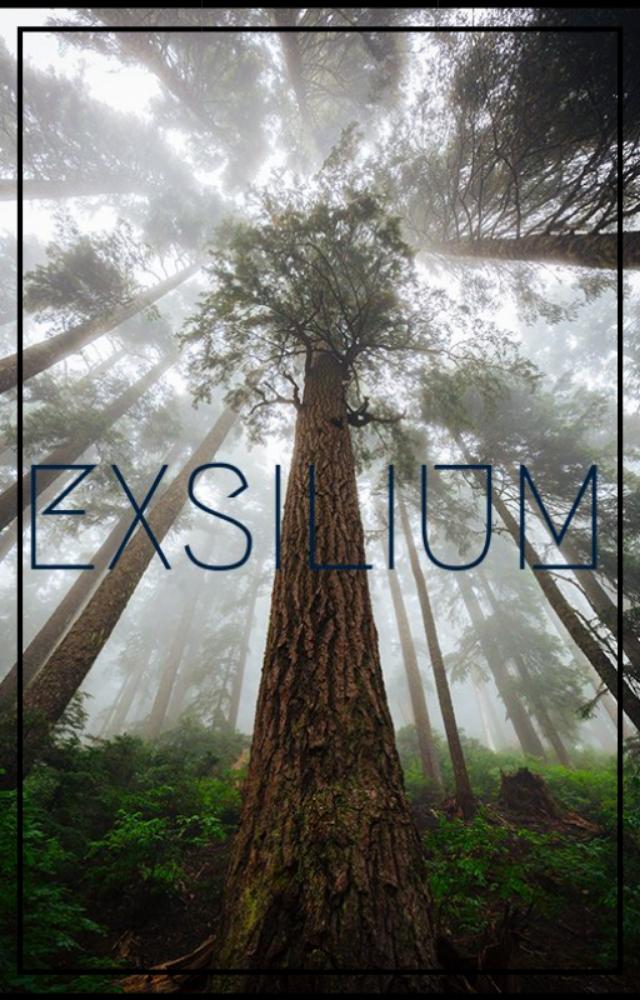 Exsilium