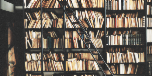 La Faucheuse est une petite joueuse