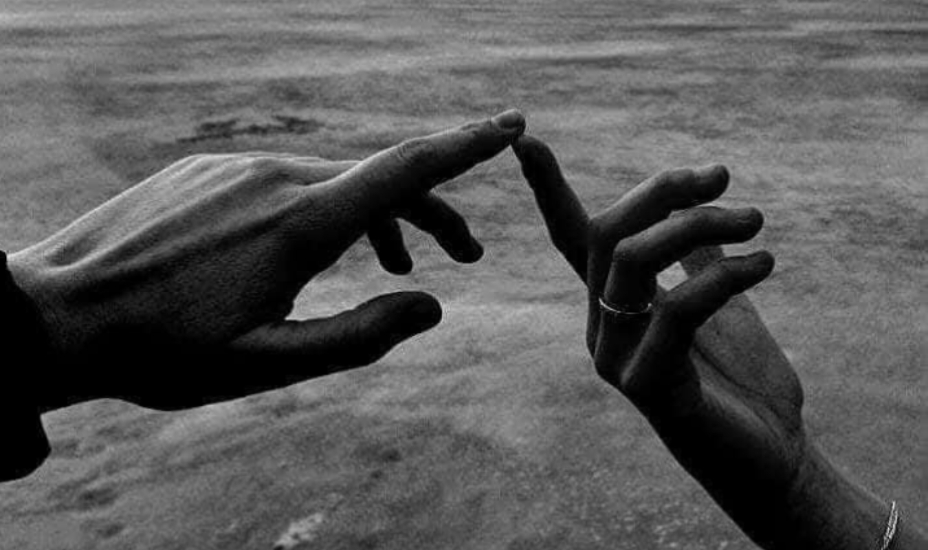 SURVIVAL86: Résurrection