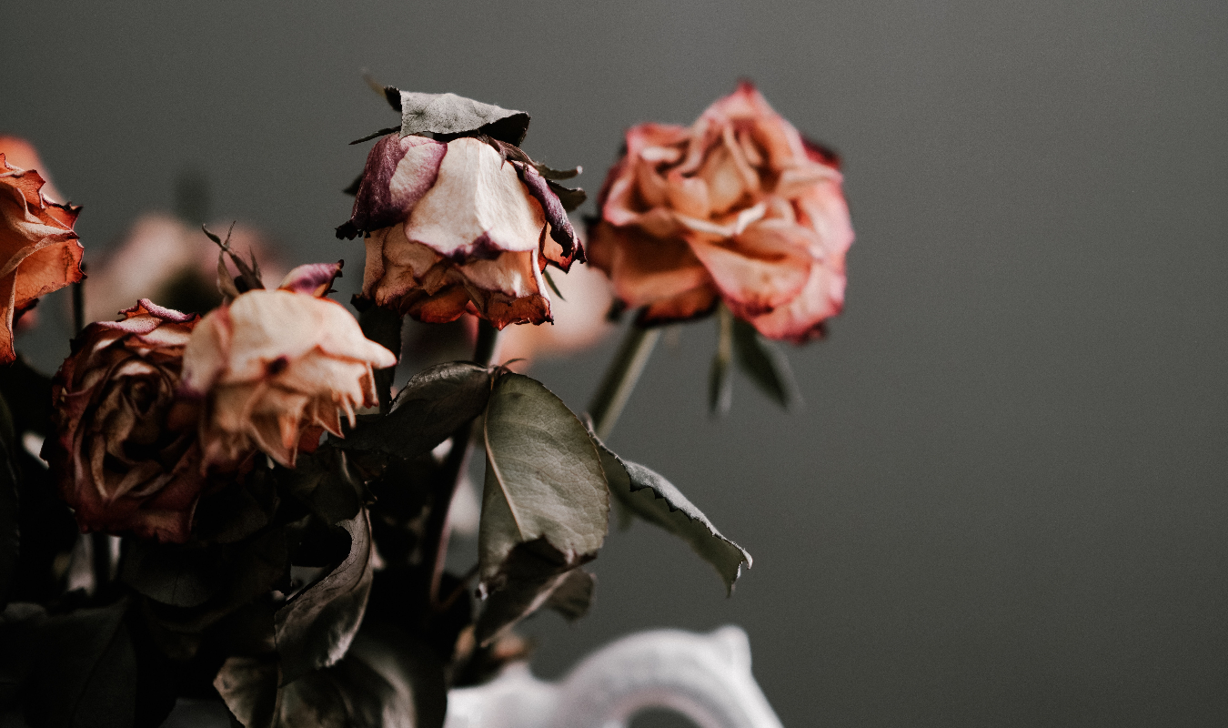 La femme de Willemrose