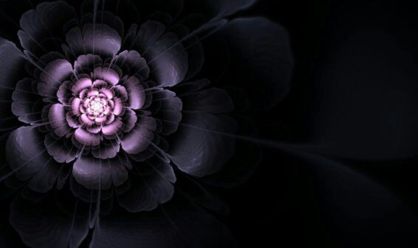 Éloignés de ce monde