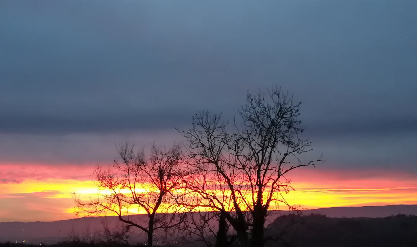 Par dessus les douleurs