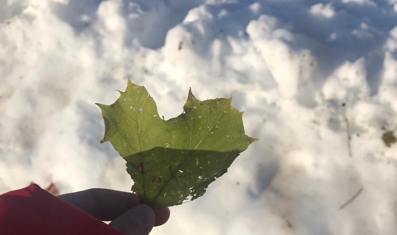 Quand le passé s'écrit au futur