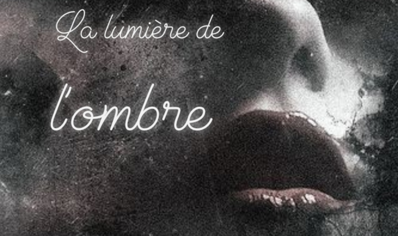 De L Ombre Ou De La Lumière Karaoké