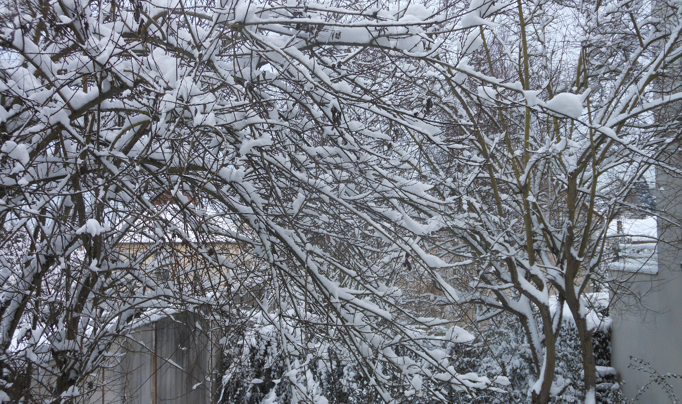 Cupidon ne viendra pas ce soir