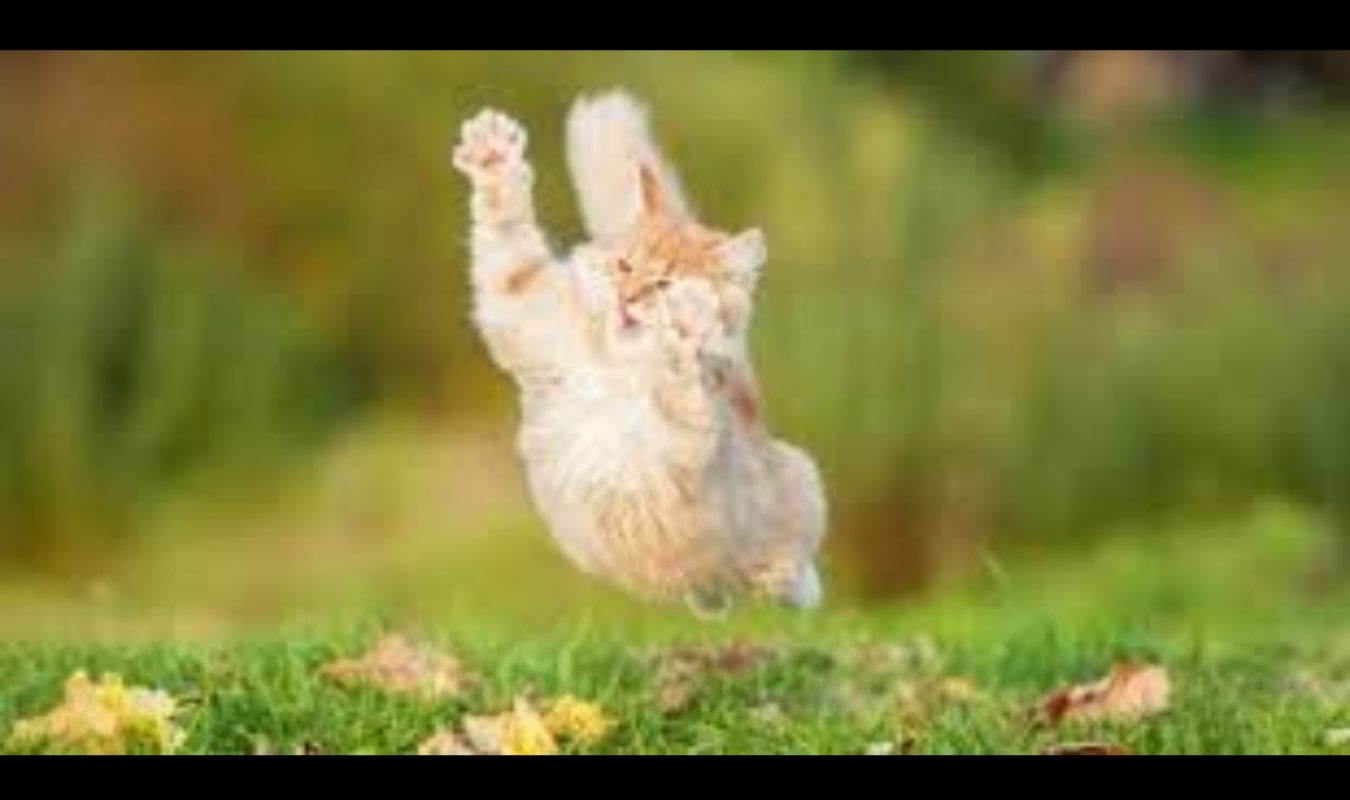 La St-val de Balthazar