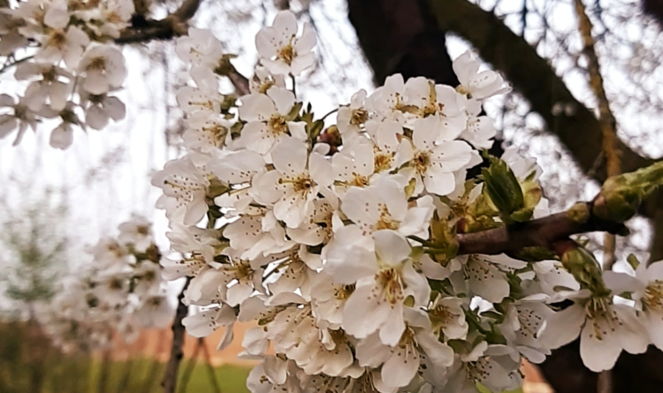 Au nom de ma liberté