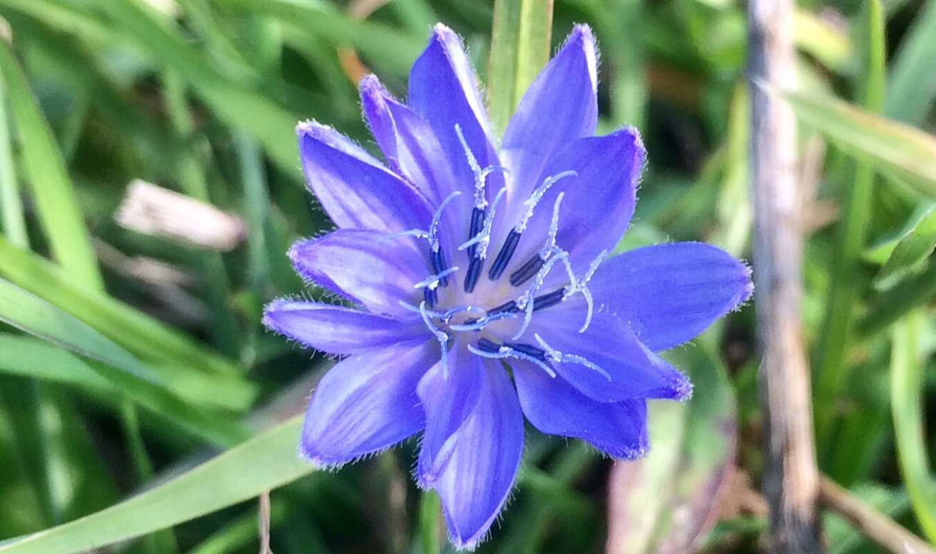 Les défis d’une confinée