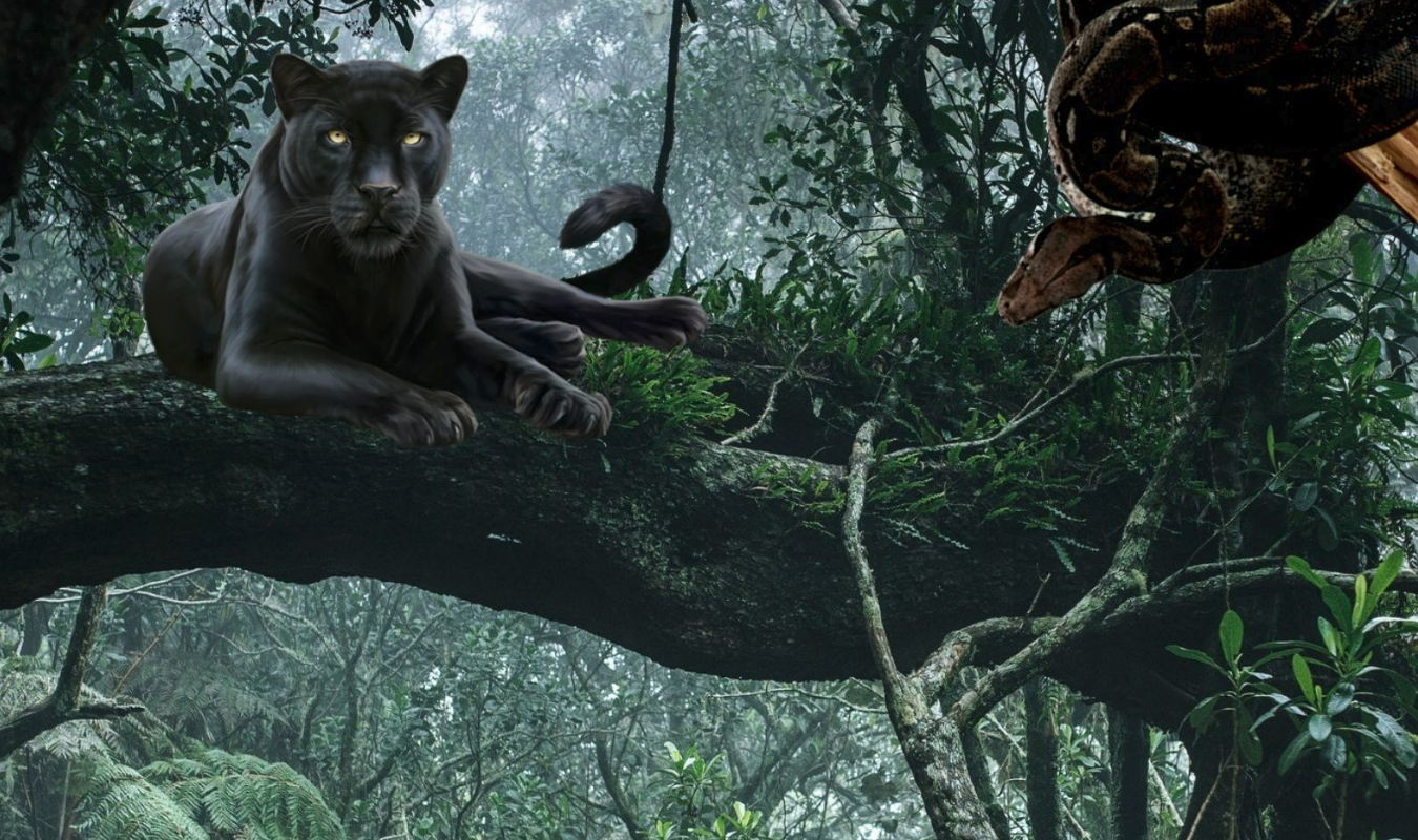 Les profondeurs de la jungle