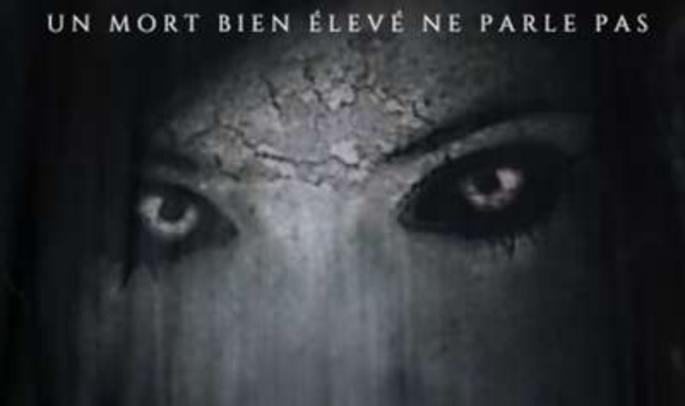 MURMURES DANS LA BRUME : UN MORT BIEN ÉLEVÉ NE PARLE PAS.