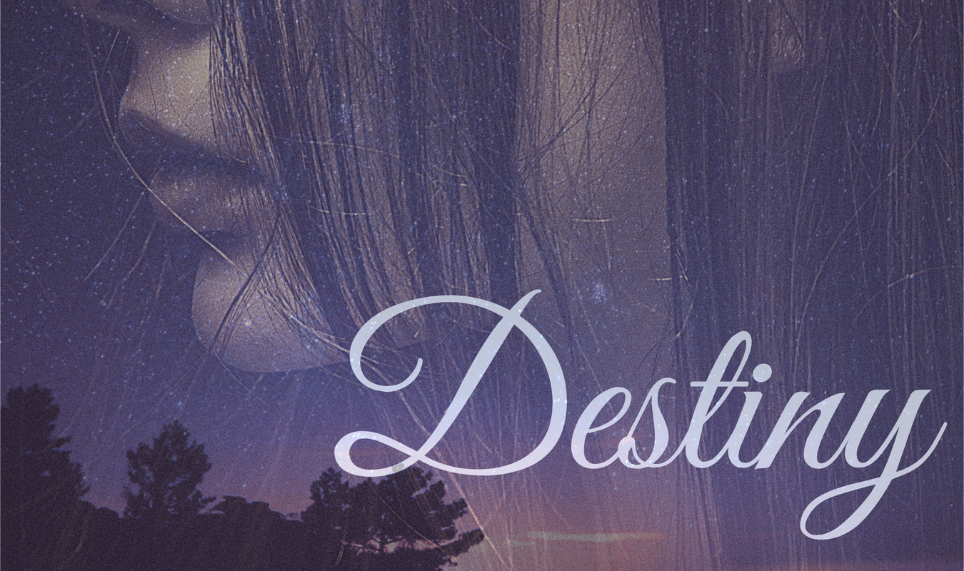 Destiny et les jumeaux maudits