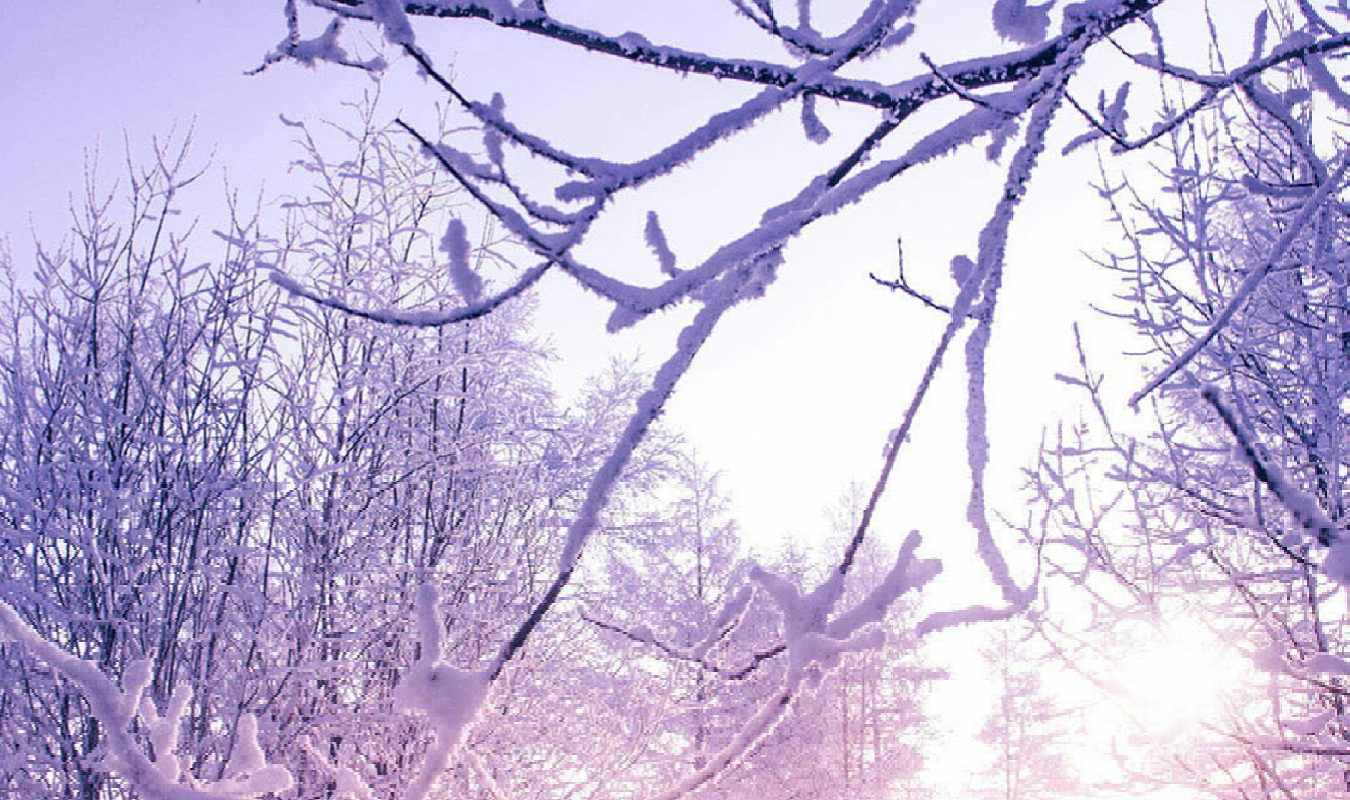 Elia, l' âme d une déesse