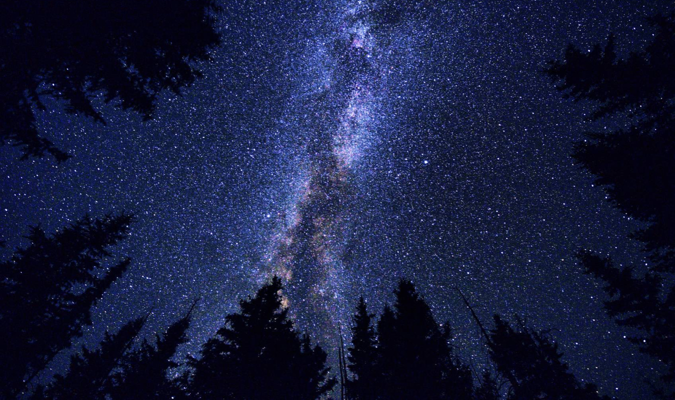 Un rêve d'une jeune fille 