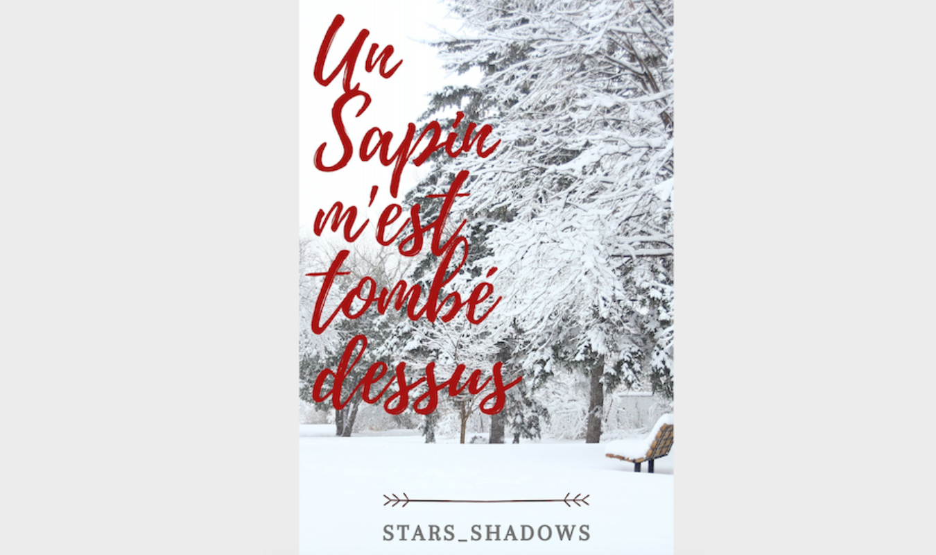 Un Sapin m'est tombé dessus !