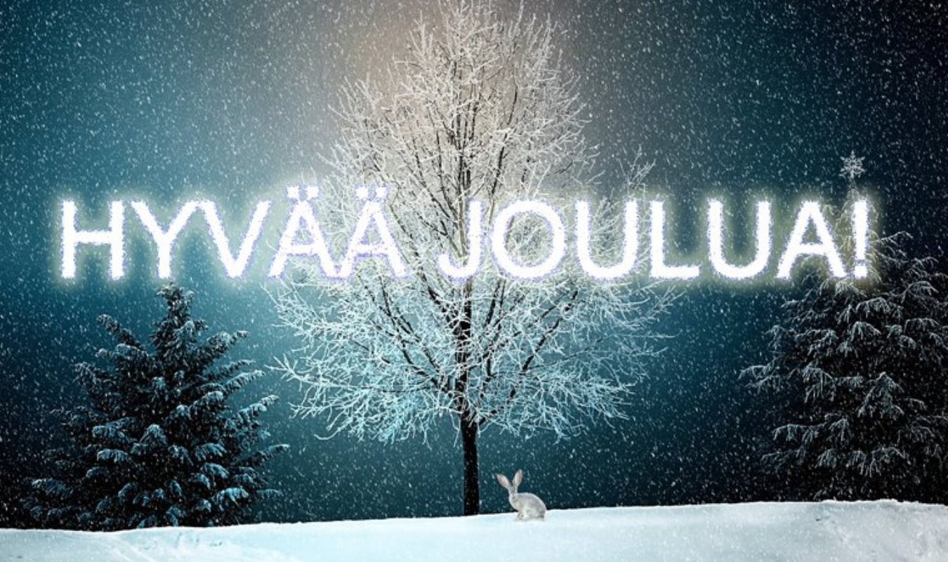 Hyvää joulua !