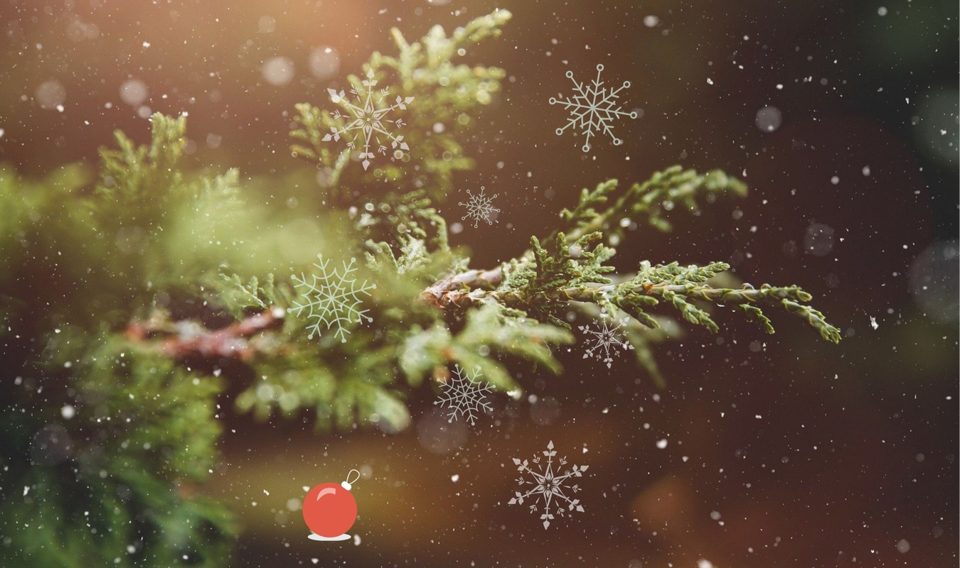 Un hiver mouvementé