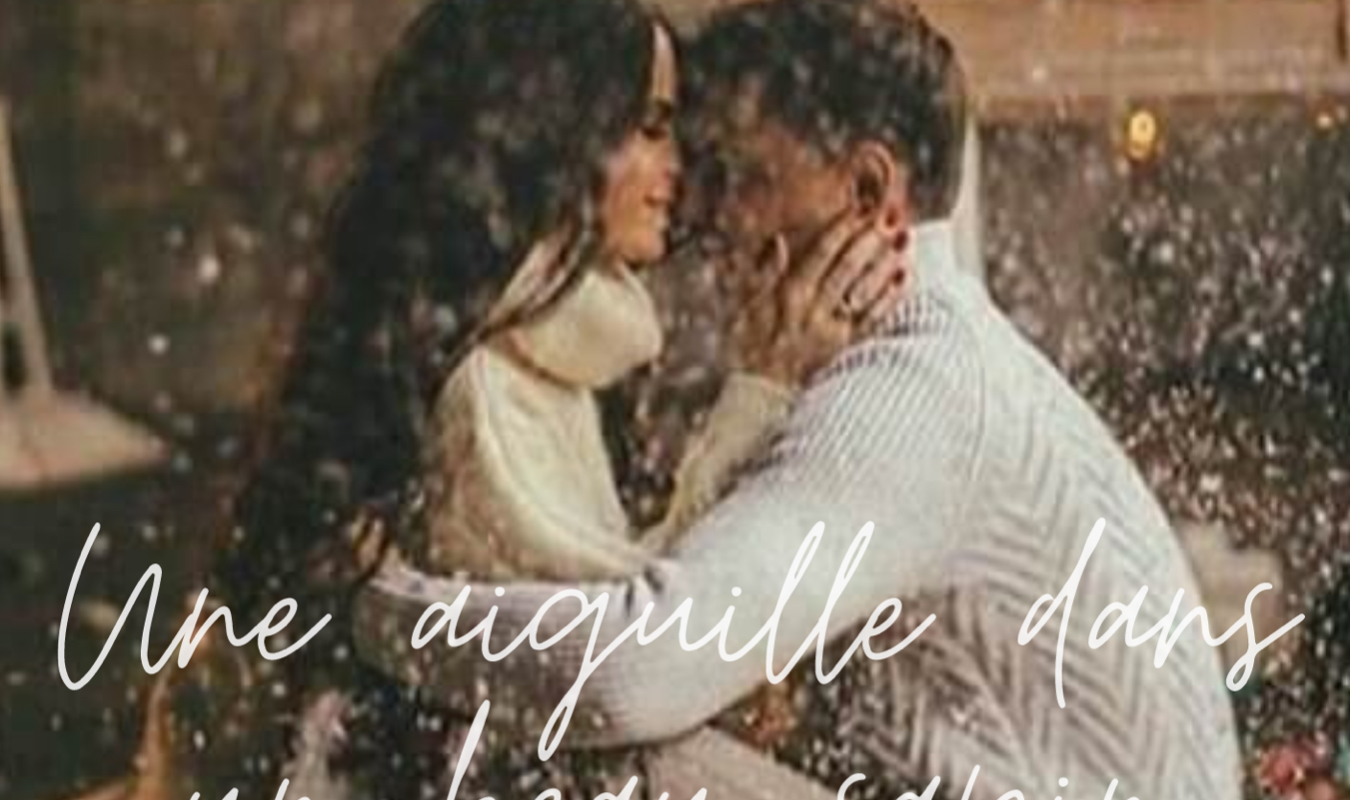 Une aiguille dans un beau sapin