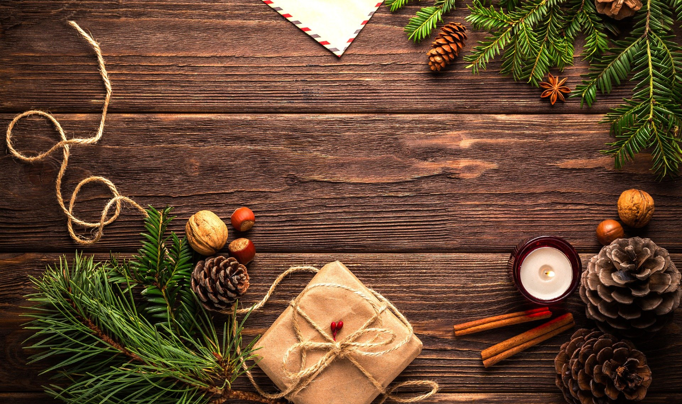 Au détour des Camélias