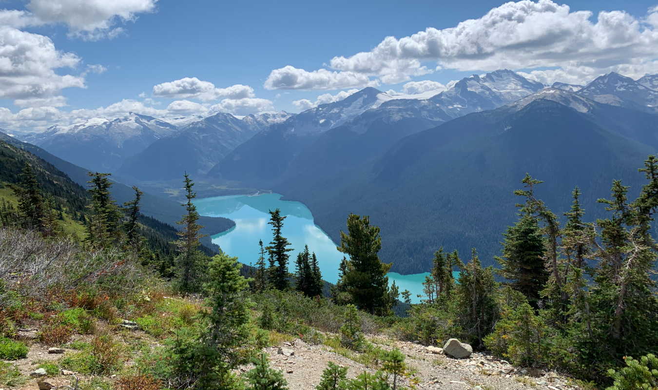 Un Noël Canadien pour oublier