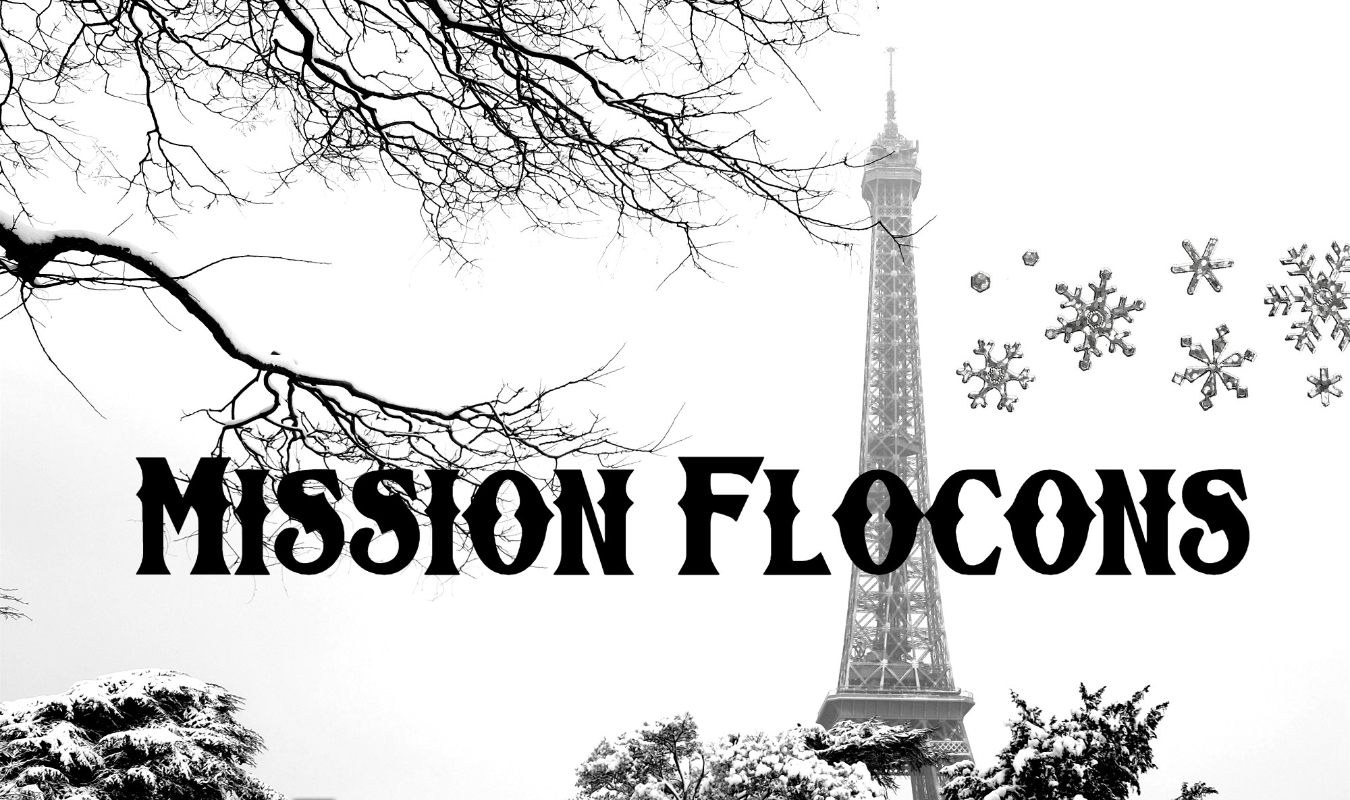 Mission Flocons