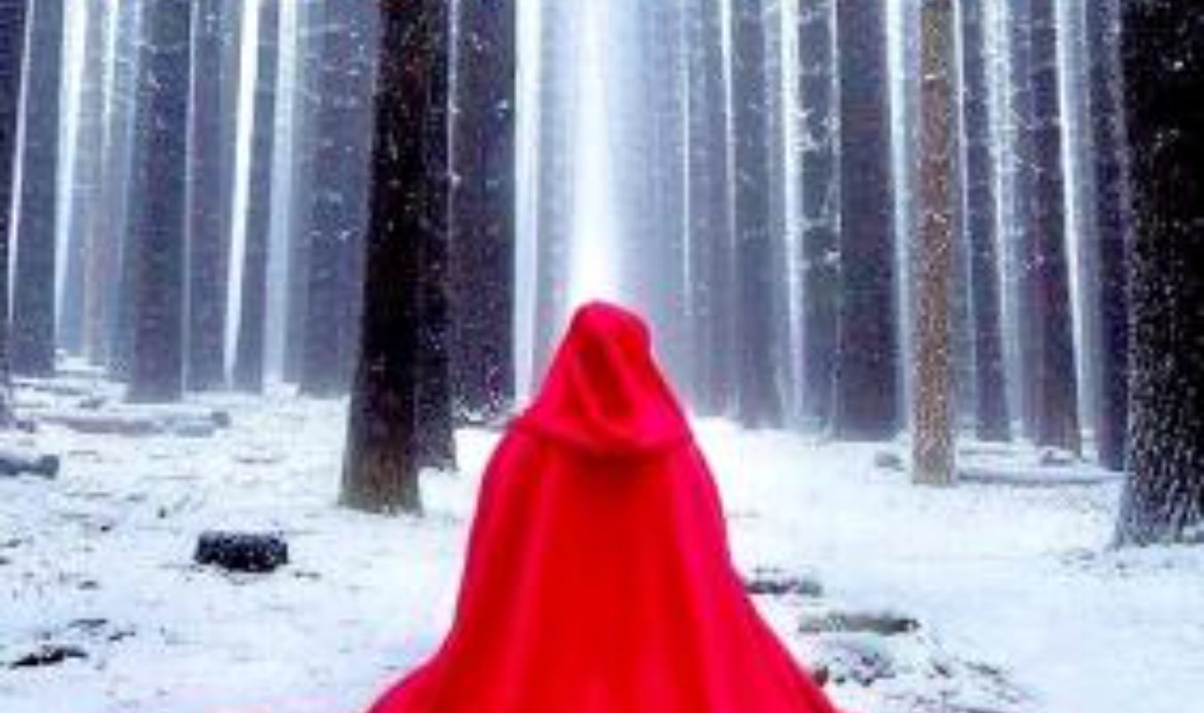 Un Chaperon pour Noël 