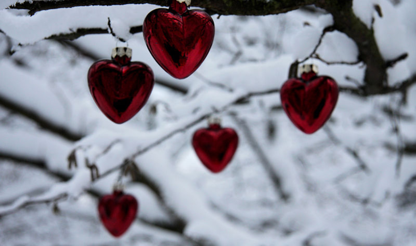 Joyeux Speed Dating!