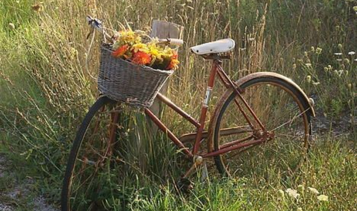 Le murmure de la vie